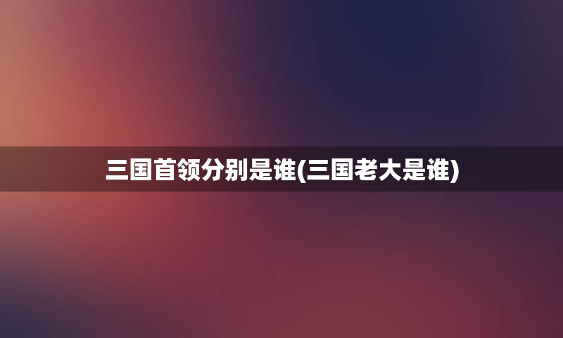 三国首领分别是谁(三国老大是谁)