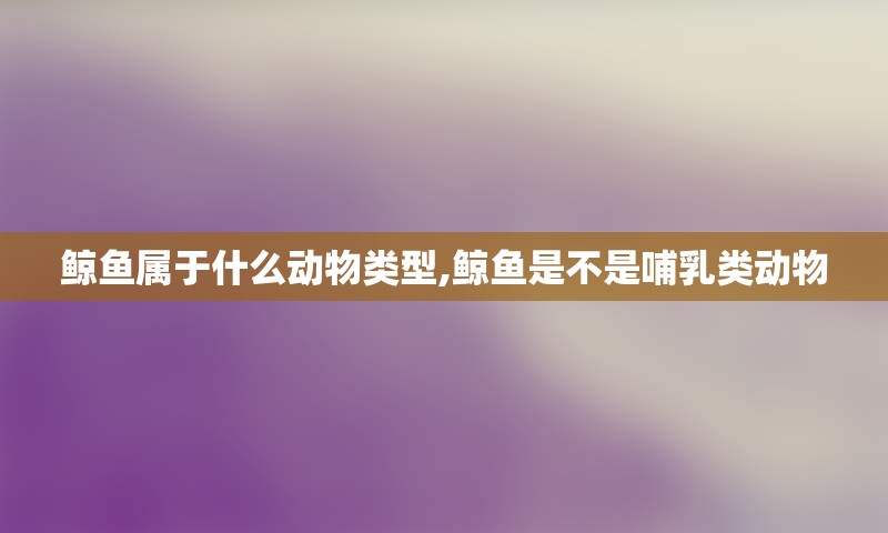 鲸鱼属于什么动物类型,鲸鱼是不是哺乳类动物