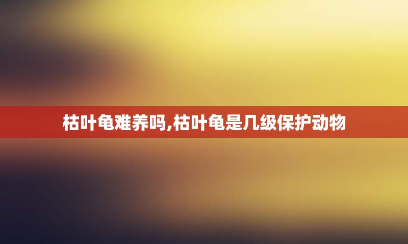 枯叶龟难养吗,枯叶龟是几级保护动物