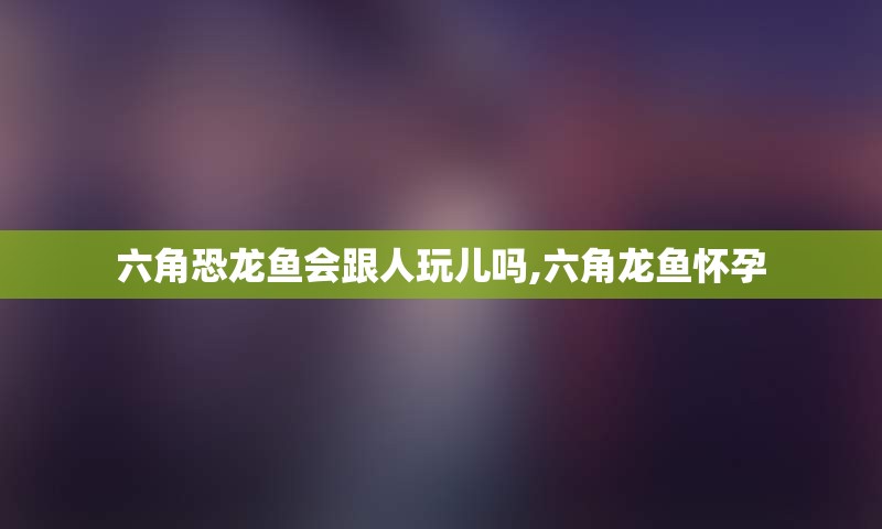 六角恐龙鱼会跟人玩儿吗,六角龙鱼怀孕