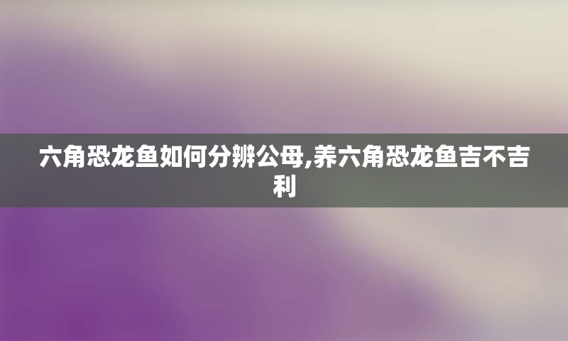 六角恐龙鱼如何分辨公母,养六角恐龙鱼吉不吉利