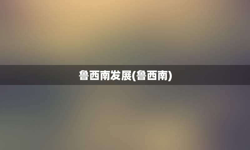 鲁西南发展(鲁西南)